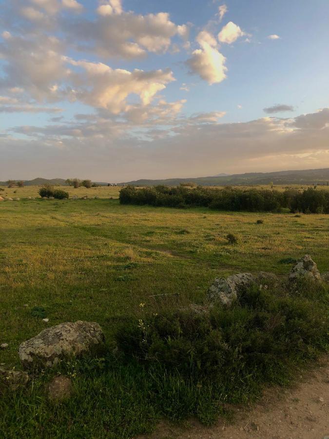 El Lago Cervera de Buitrago Buitenkant foto